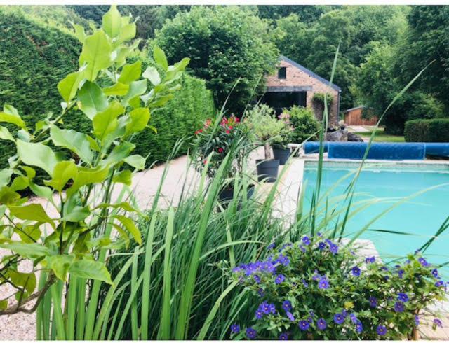 Bed and Breakfast La mosane Profondeville Esterno foto